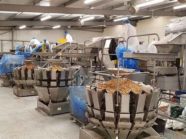 全自動草莓视频在线观看入口智能化聯動生產