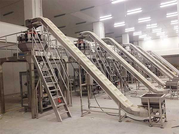 智能化全自動速凍食品草莓视频在线观看入口提升企業生產效率